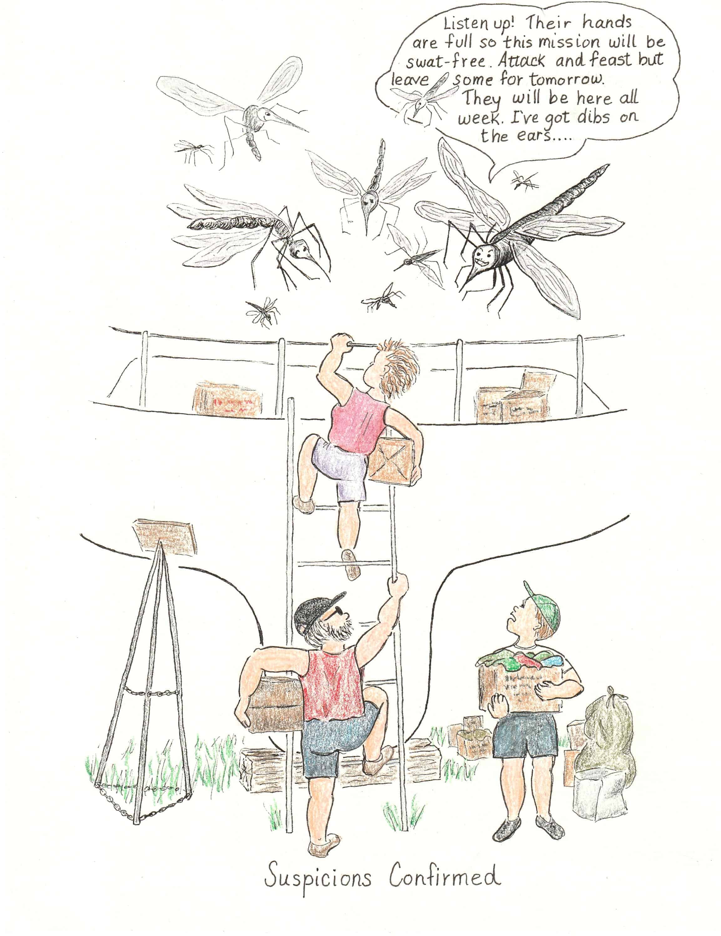 mosquitos boatyard